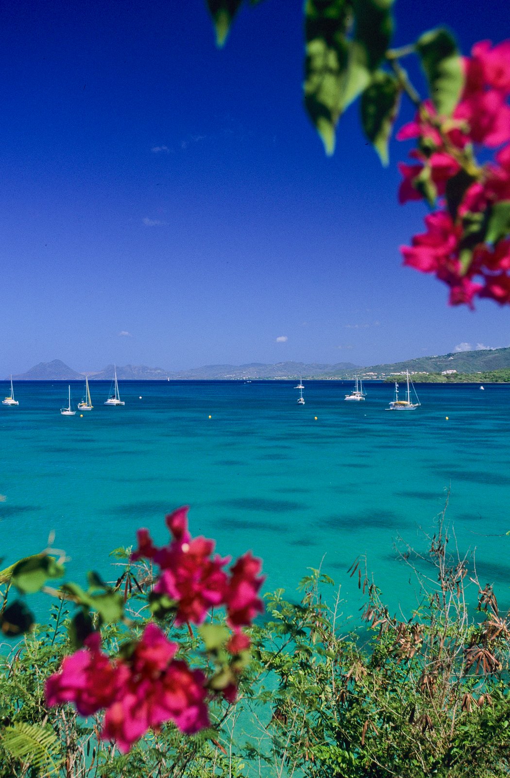 Top 3 des meilleurs lieux de mouillages à La Martinique Top 3 des meilleurs lieux de mouillages à La Martinique