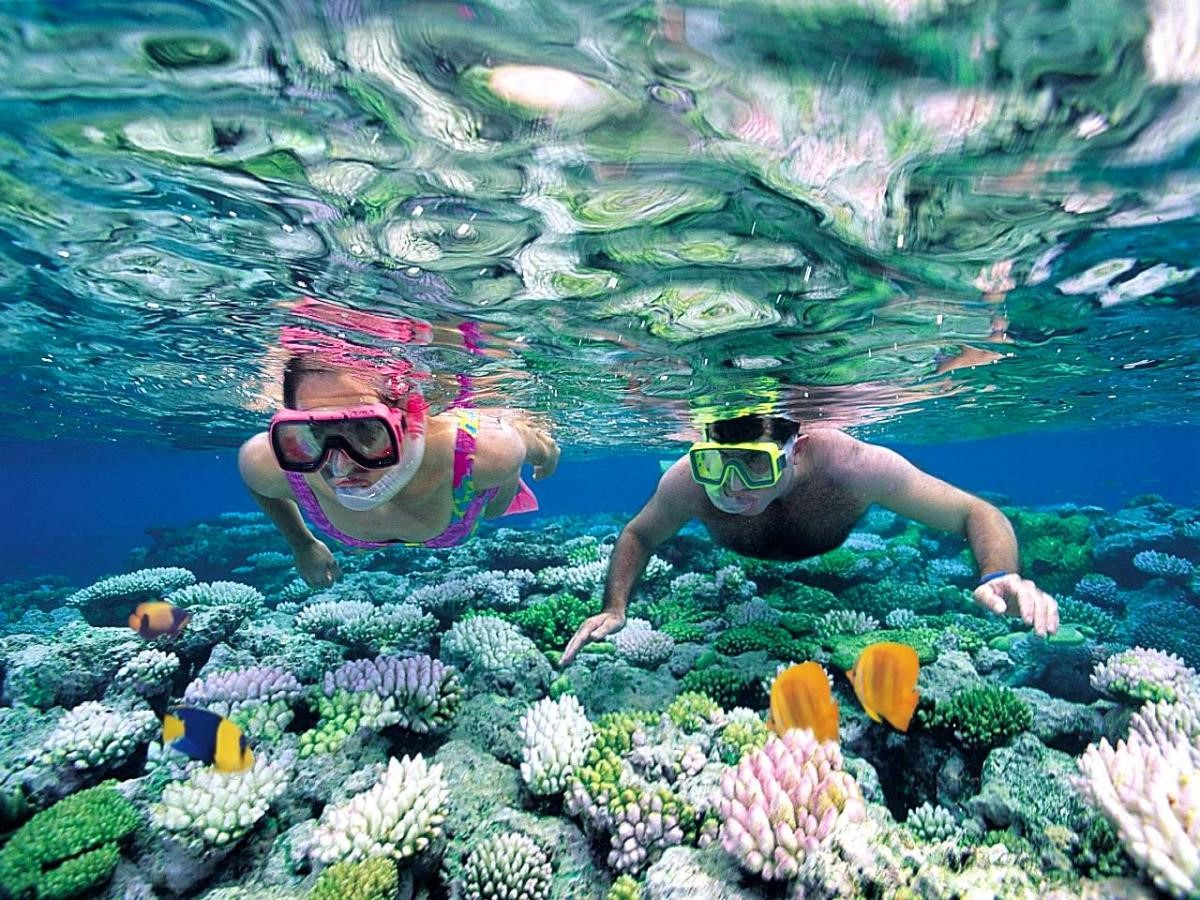 Profiter d'une agréable croisière plongée aux Maldives Profiter d'une agréable croisière plongée aux Maldives
